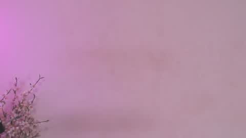 Carolina online show from February 26, 1:14 am