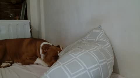 Angela online show from February 8, 9:04 pm