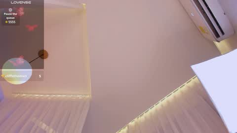 Angel Rosario online show from January 13, 6:06 am