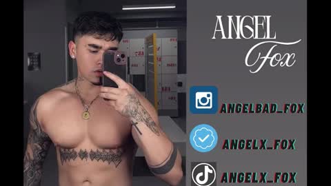 Angel Fox online show from September 10, 12:17 pm