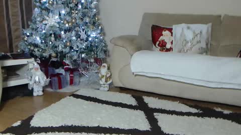 annesins online show from November 28, 6:15 pm