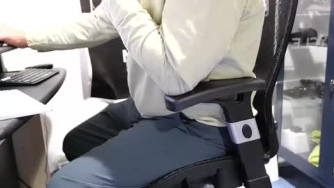 D online show from February 2, 1:52 pm