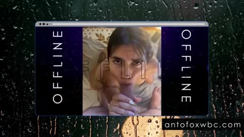 Anto online show from February 4, 5:53 am