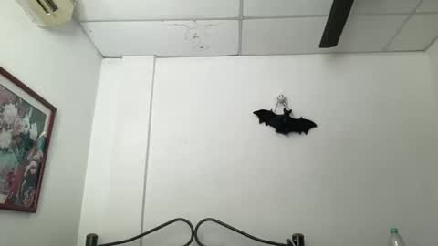 Antonia online show from December 5, 3:23 pm