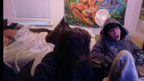 ApacheWithWebcam online show from April 25, 11:57 pm