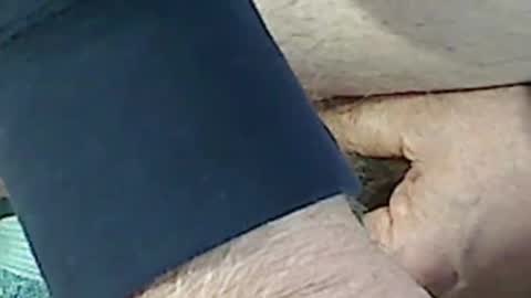 aquietoldman online show from February 2, 10:22 am