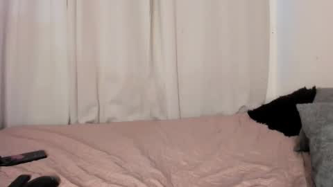 ariana online show from February 4, 11:08 pm