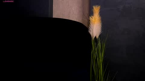 Aria  online show from March 12, 7:47 pm