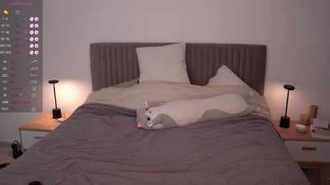 Ariel online show from February 12, 6:29 am