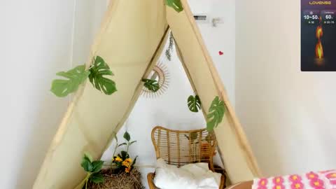 A R I   online show from November 18, 11:57 am