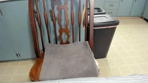 armalite16 online show from November 21, 6:06 pm