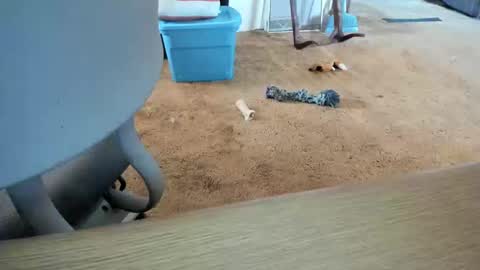 armalite16 online show from October 12, 1:37 pm