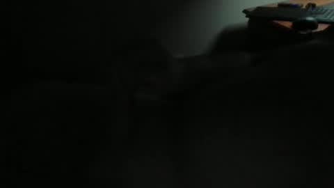 army39th online show from November 11, 7:10 am