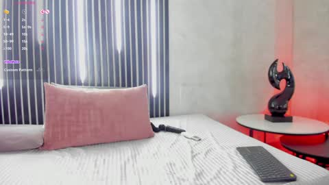 Snapshot of arya_02 chatting on January 30, 2:47 pm Arya online show from January 30, 2:47 pm