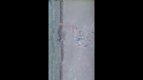 asainobedientslut12 online show from April 9, 2:04 am