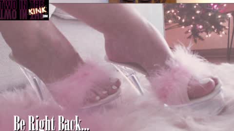 ASSleigh Abbott online show from January 7, 2:10 am