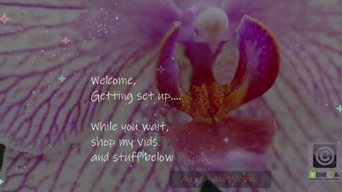 Atrena online show from April 16, 1:38 am