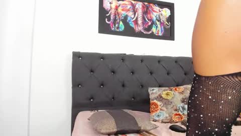 AUDACIA online show from October 25, 8:31 pm