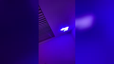 Aurora online show from December 4, 3:17 am