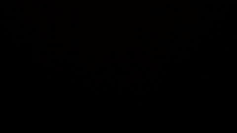 Axel Palacios online show from April 4, 6:53 am