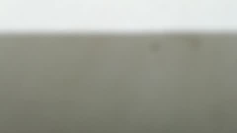 Ayie online show from January 13, 10:01 am