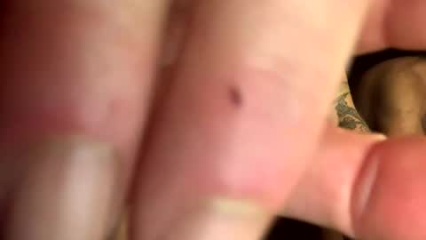 backwoodswolf online show from March 2, 7:43 am