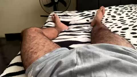 alejo 18cm online show from June 14, 7:27 pm