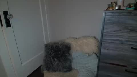 Bambi online show from March 2, 5:12 am