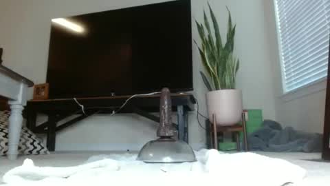 bambirachel1 online show from June 25, 9:42 pm