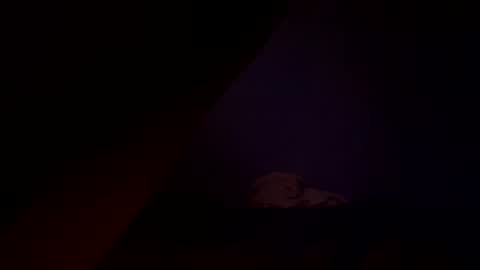 bbc_in_chitwn online show from December 15, 2:16 pm