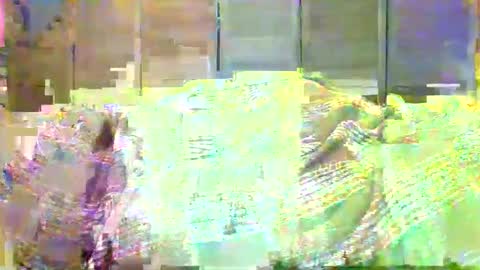 NSAPiigForBreeding online show from April 22, 4:52 am