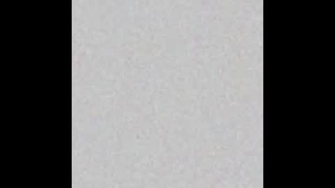 Trev online show from February 23, 9:22 am