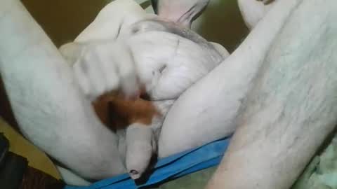 belacska6 online show from April 13, 3:55 am