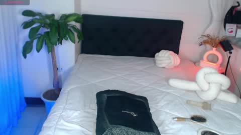 Bella Porch online show from March 2, 7:15 am