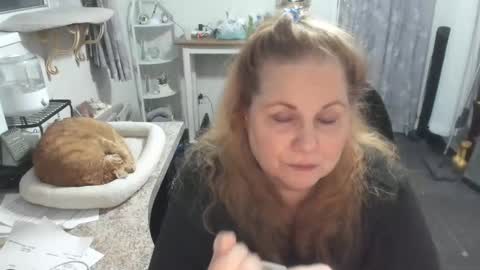 Bellavoca online show from February 24, 2:36 am