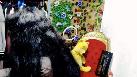 Belly online show from January 2, 11:27 pm