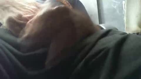 beninoam75 online show from November 7, 7:11 am