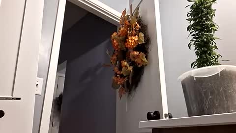 BennyC online show from October 22, 5:21 am