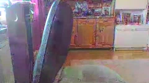 bestmann979994 online show from March 13, 12:52 pm