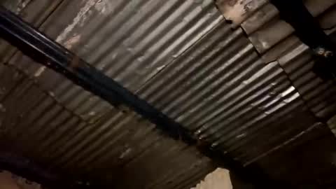 Stiven Leon online show from March 29, 8:27 am