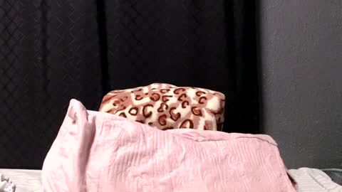 bigboobsbitchx online show from June 15, 1:03 pm