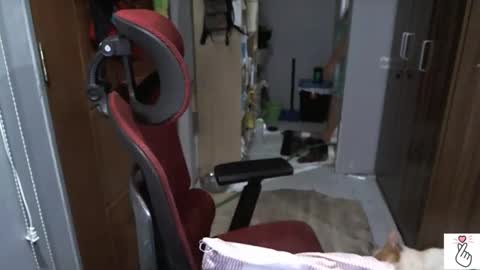 bigboobslyn online show from March 28, 6:53 pm