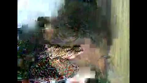Snapshot of bigboobslyn chatting on September 16, 10:39 am bigboobslyn online show from September 16, 10:39 am
