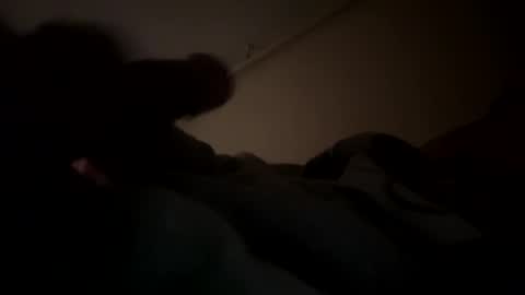 bigcockphilly online show from November 20, 1:10 pm