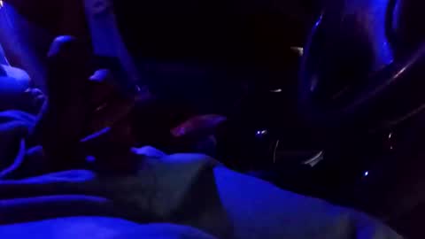 bigdiccbrannn online show from February 9, 12:52 pm