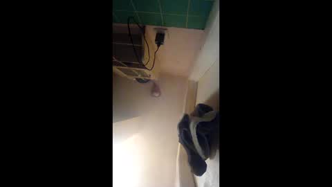 bigdick505883 online show from March 19, 4:01 pm