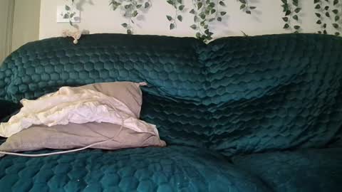 Snapshot of bigdicktrannynicole chatting on September 18, 5:55 am bigdicktrannynicole online show from September 18, 5:55 am