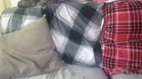 Snapshot of bigdicktrannynicole chatting on January 29, 12:56 pm bigdicktrannynicole online show from January 29, 12:56 pm