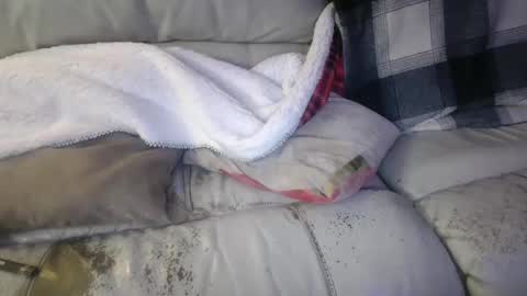 Snapshot of bigdicktrannynicole chatting on January 21, 2:11 am bigdicktrannynicole online show from January 21, 2:11 am