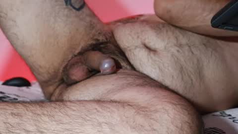 biggbearxxx online show from October 23, 2:57 am